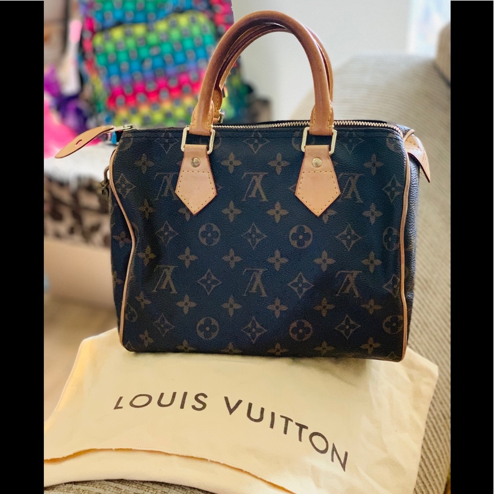 Luis vuitton hand bag